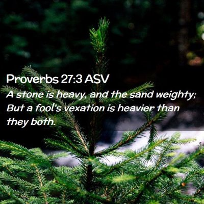 Picture 02 - Proverbs 27:3 ASV - A stone is heavy, and the sand weighty; But a - Bible Verse Picture
