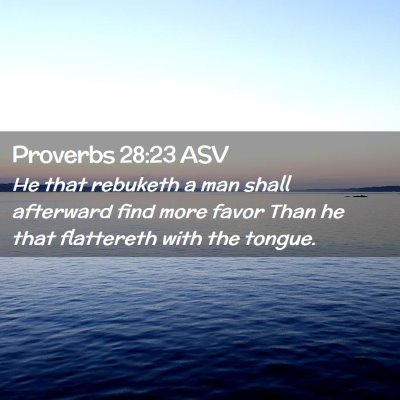Picture 02 - Proverbs 28:23 ASV - He that rebuketh a man shall afterward find more - Bible Verse Picture