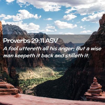 Picture 02 - Proverbs 29:11 ASV - A fool uttereth all his anger; But a wise man - Bible Verse Picture