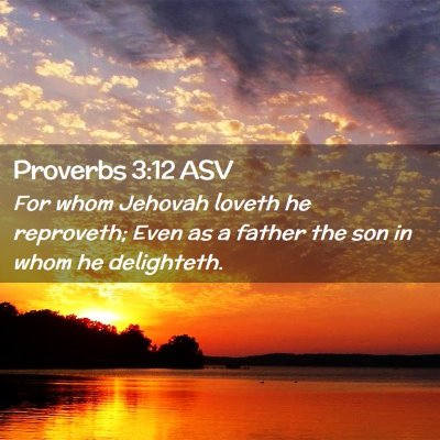 Picture 02 - Proverbs 3:12 ASV - For whom Jehovah loveth he reproveth; Even as a - Bible Verse Picture