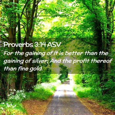 Picture 02 - Proverbs 3:14 ASV - For the gaining of it is better than the gaining - Bible Verse Picture