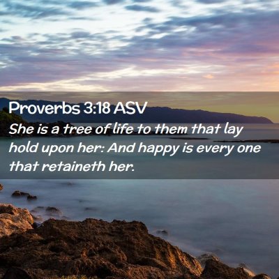 Picture 02 - Proverbs 3:18 ASV - She is a tree of life to them that lay hold upon - Bible Verse Picture