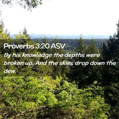 Picture 02 - Proverbs 3:20 ASV - By his knowledge the depths were broken up, And - Bible Verse Picture