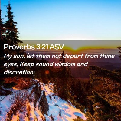 Picture 02 - Proverbs 3:21 ASV - My son, let them not depart from thine eyes; Keep - Bible Verse Picture