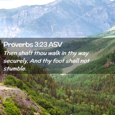 Picture 02 - Proverbs 3:23 ASV - Then shalt thou walk in thy way securely, And thy - Bible Verse Picture