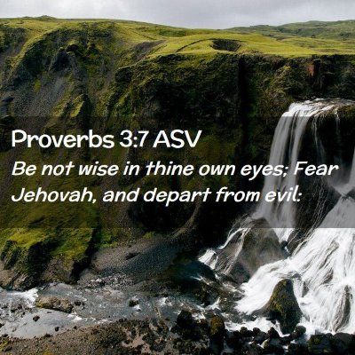 Picture 02 - Proverbs 3:7 ASV - Be not wise in thine own eyes; Fear Jehovah, and - Bible Verse Picture