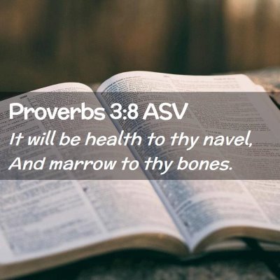 Picture 02 - Proverbs 3:8 ASV - It will be health to thy navel, And marrow to thy - Bible Verse Picture