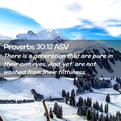 Picture 02 - Proverbs 30:12 ASV - There is a generation that are pure in their own - Bible Verse Picture