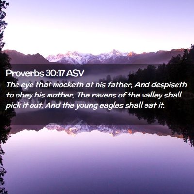 Picture 02 - Proverbs 30:17 ASV - The eye that mocketh at his father, And despiseth - Bible Verse Picture