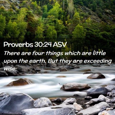 Picture 02 - Proverbs 30:24 ASV - There are four things which are little upon the - Bible Verse Picture