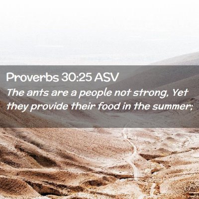Picture 02 - Proverbs 30:25 ASV - The ants are a people not strong, Yet they - Bible Verse Picture