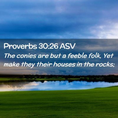 Picture 02 - Proverbs 30:26 ASV - The conies are but a feeble folk, Yet make they - Bible Verse Picture