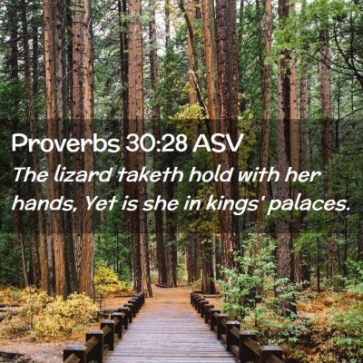 Picture 02 - Proverbs 30:28 ASV - The lizard taketh hold with her hands, Yet is she - Bible Verse Picture