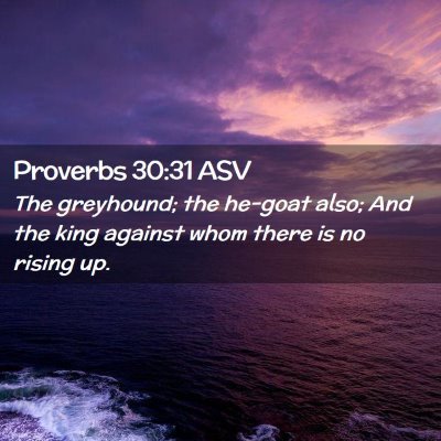 Picture 02 - Proverbs 30:31 ASV - The greyhound; the he-goat also; And the king - Bible Verse Picture