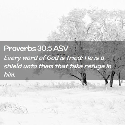Picture 02 - Proverbs 30:5 ASV - Every word of God is tried: He is a shield unto - Bible Verse Picture