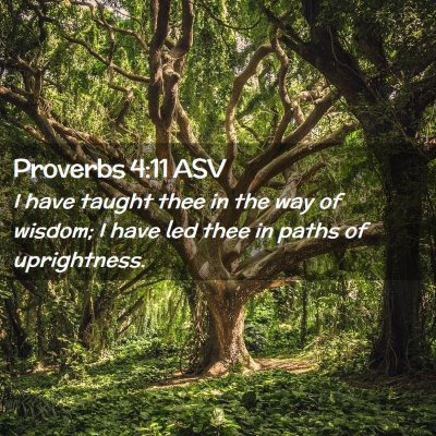 Picture 02 - Proverbs 4:11 ASV - I have taught thee in the way of wisdom; I have - Bible Verse Picture