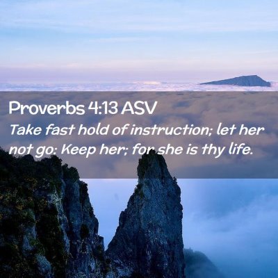 Picture 02 - Proverbs 4:13 ASV - Take fast hold of instruction; let her not go: - Bible Verse Picture