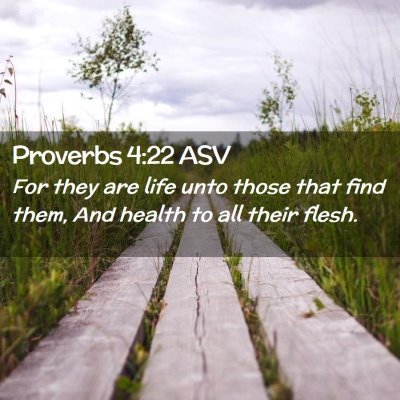 Picture 02 - Proverbs 4:22 ASV - For they are life unto those that find them, And - Bible Verse Picture