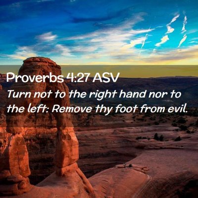 Picture 02 - Proverbs 4:27 ASV - Turn not to the right hand nor to the left: - Bible Verse Picture