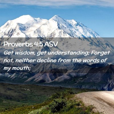 Picture 02 - Proverbs 4:5 ASV - Get wisdom, get understanding; Forget not, - Bible Verse Picture