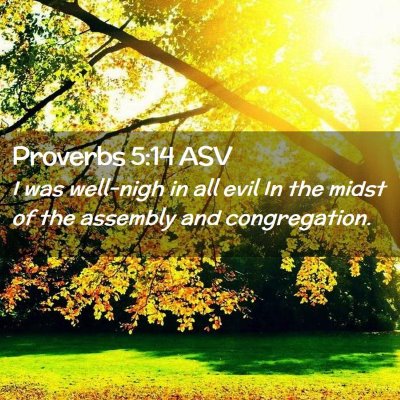Picture 02 - Proverbs 5:14 ASV - I was well-nigh in all evil In the midst of the - Bible Verse Picture