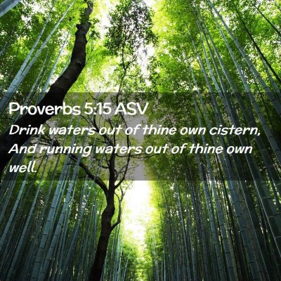Picture 02 - Proverbs 5:15 ASV - Drink waters out of thine own cistern, And - Bible Verse Picture