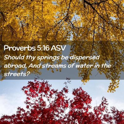 Picture 02 - Proverbs 5:16 ASV - Should thy springs be dispersed abroad, And - Bible Verse Picture