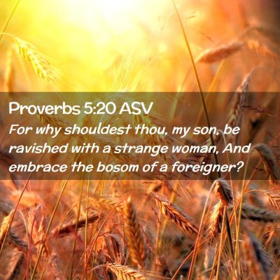 Picture 02 - Proverbs 5:20 ASV - For why shouldest thou, my son, be ravished with - Bible Verse Picture