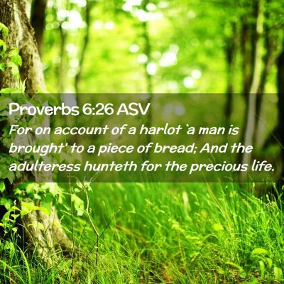 Picture 02 - Proverbs 6:26 ASV - For on account of a harlot `a man is brought' to - Bible Verse Picture
