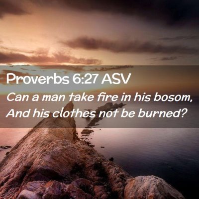Picture 02 - Proverbs 6:27 ASV - Can a man take fire in his bosom, And his clothes - Bible Verse Picture