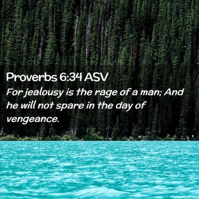 Picture 02 - Proverbs 6:34 ASV - For jealousy is the rage of a man; And he will - Bible Verse Picture