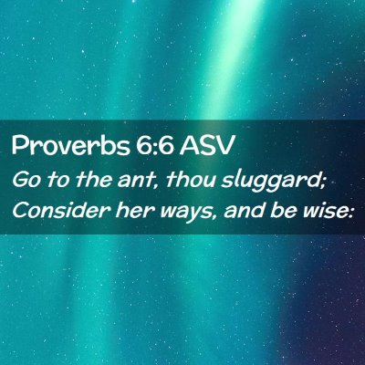 Picture 02 - Proverbs 6:6 ASV - Go to the ant, thou sluggard; Consider her ways, - Bible Verse Picture