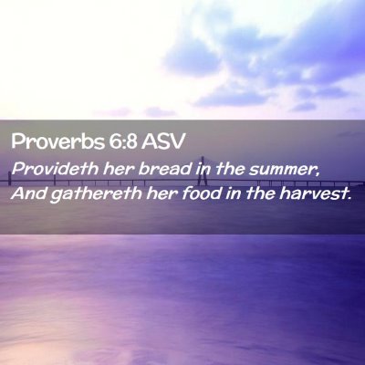 Picture 02 - Proverbs 6:8 ASV - Provideth her bread in the summer, And gathereth - Bible Verse Picture