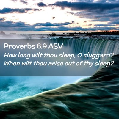 Picture 02 - Proverbs 6:9 ASV - How long wilt thou sleep, O sluggard? When wilt - Bible Verse Picture