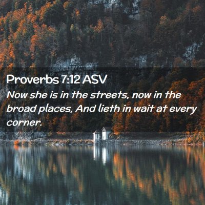 Picture 02 - Proverbs 7:12 ASV - Now she is in the streets, now in the broad - Bible Verse Picture