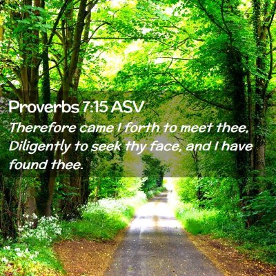 Picture 02 - Proverbs 7:15 ASV - Therefore came I forth to meet thee, Diligently - Bible Verse Picture