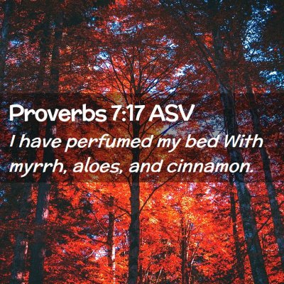 Picture 02 - Proverbs 7:17 ASV - I have perfumed my bed With myrrh, aloes, and - Bible Verse Picture