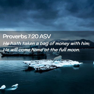 Picture 02 - Proverbs 7:20 ASV - He hath taken a bag of money with him; He will - Bible Verse Picture