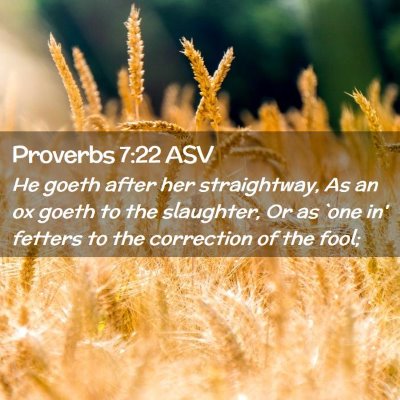 Picture 02 - Proverbs 7:22 ASV - He goeth after her straightway, As an ox goeth to - Bible Verse Picture