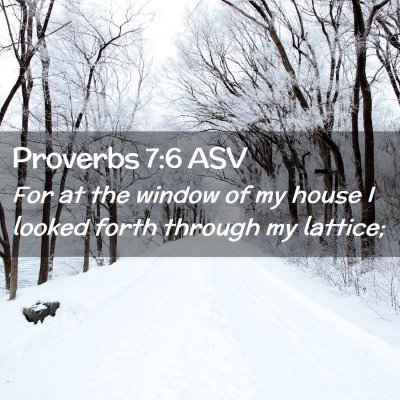 Picture 02 - Proverbs 7:6 ASV - For at the window of my house I looked forth - Bible Verse Picture