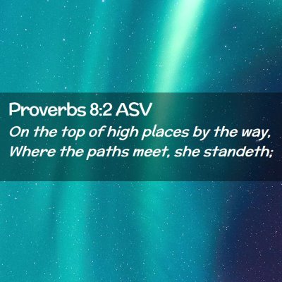 Picture 02 - Proverbs 8:2 ASV - On the top of high places by the way, Where the - Bible Verse Picture