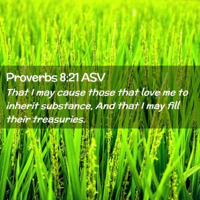 Picture 02 - Proverbs 8:21 ASV - That I may cause those that love me to inherit - Bible Verse Picture