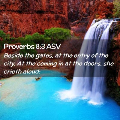 Picture 02 - Proverbs 8:3 ASV - Beside the gates, at the entry of the city, At - Bible Verse Picture