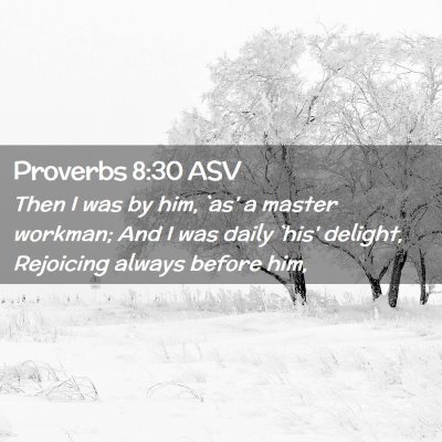 Picture 02 - Proverbs 8:30 ASV - Then I was by him, `as' a master workman; And I - Bible Verse Picture