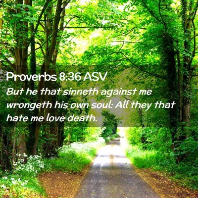 Picture 02 - Proverbs 8:36 ASV - But he that sinneth against me wrongeth his own - Bible Verse Picture