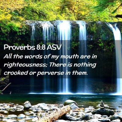 Picture 02 - Proverbs 8:8 ASV - All the words of my mouth are in righteousness; - Bible Verse Picture