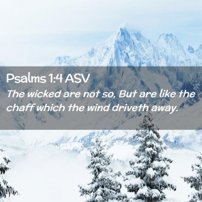 Picture 02 - Psalms 1:4 ASV - The wicked are not so, But are like the chaff - Bible Verse Picture