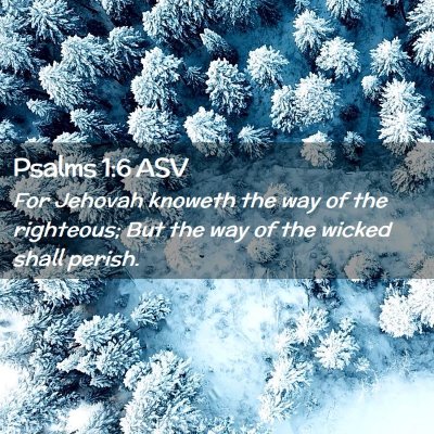 Picture 02 - Psalms 1:6 ASV - For Jehovah knoweth the way of the righteous; But - Bible Verse Picture