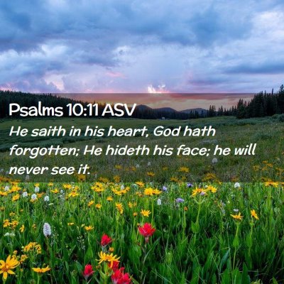 Picture 02 - Psalms 10:11 ASV - He saith in his heart, God hath forgotten; He - Bible Verse Picture