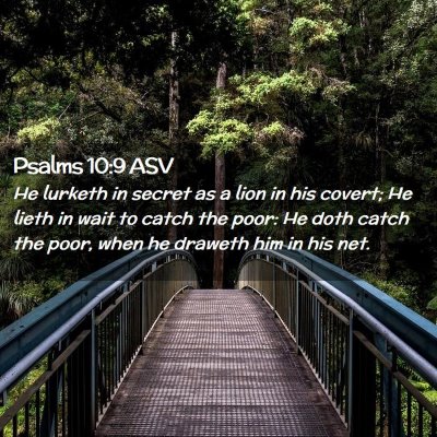 Picture 02 - Psalms 10:9 ASV - He lurketh in secret as a lion in his covert; He - Bible Verse Picture